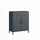 living storage cabinets